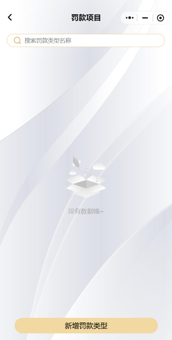罚款项目
